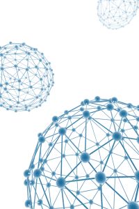 network.jpg